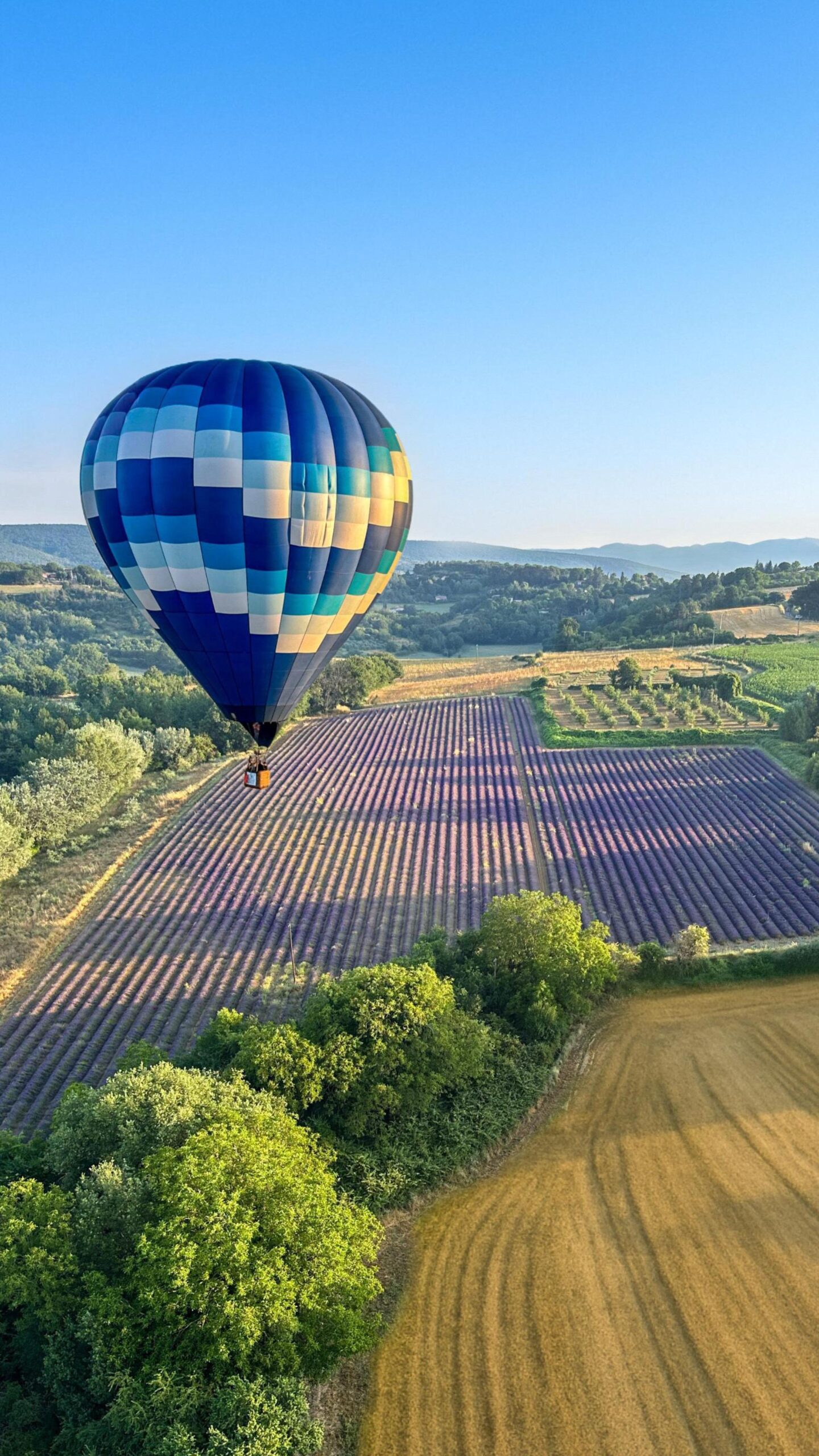 WhatsApp Image 2025-10-20 at 21.00.37 (5)